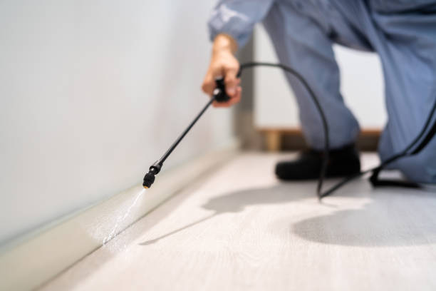 Bed Bug Pre-Treatment Preparation Assessment in McCleary