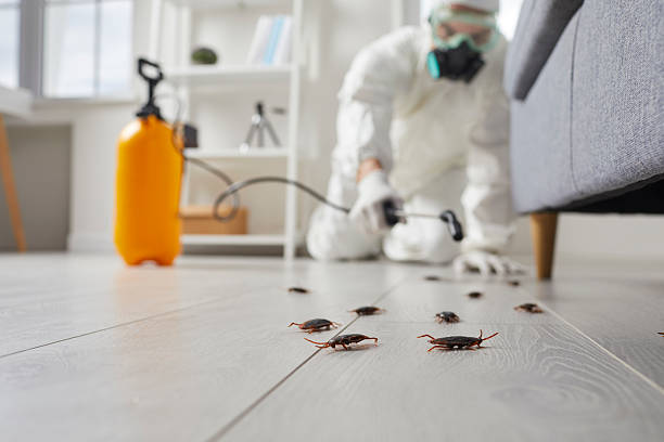 Post-Treatment Bed Bug Interceptor Monitoring in McCleary
