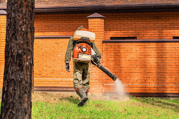Bed Bug Clearance Verification and Documentation in McCleary